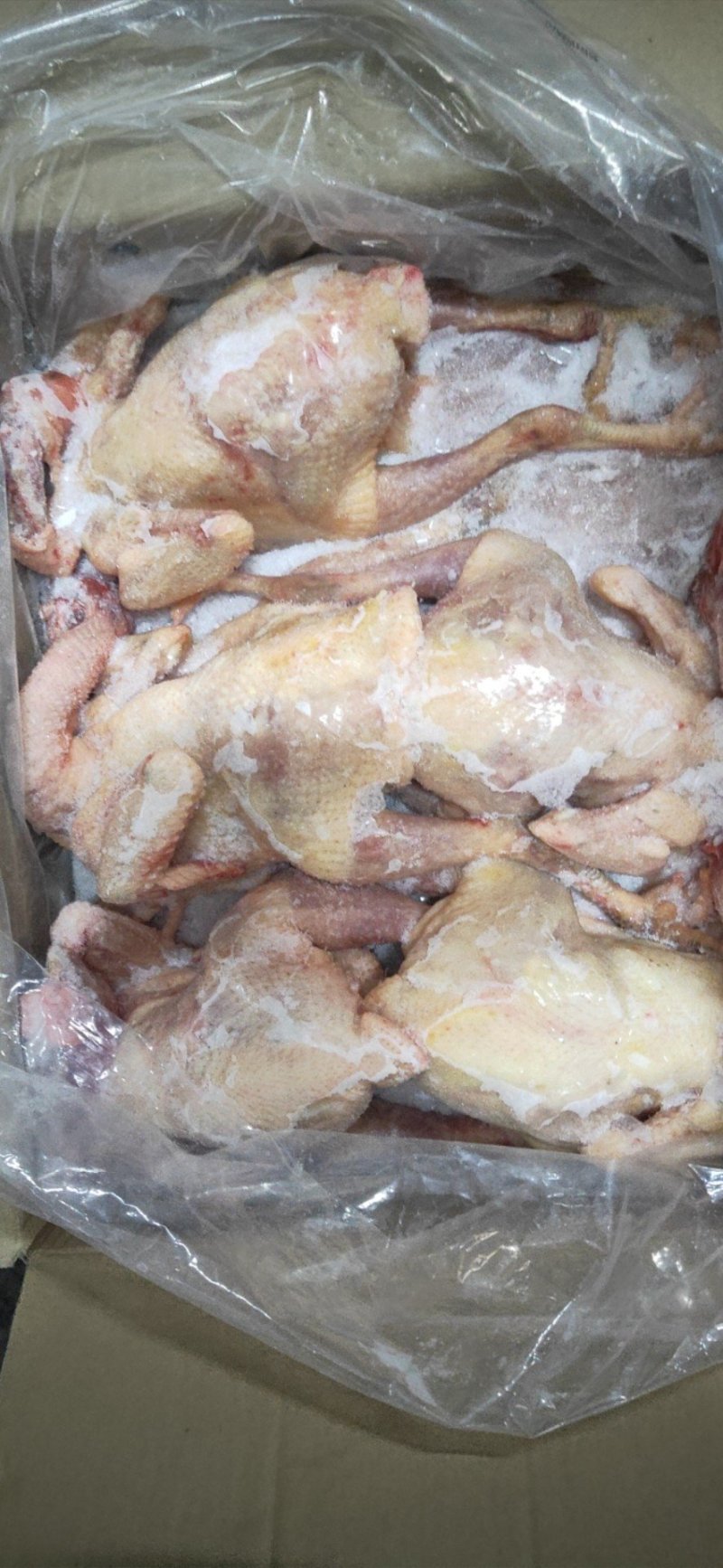 农家老母鸡(钦州九联食品)