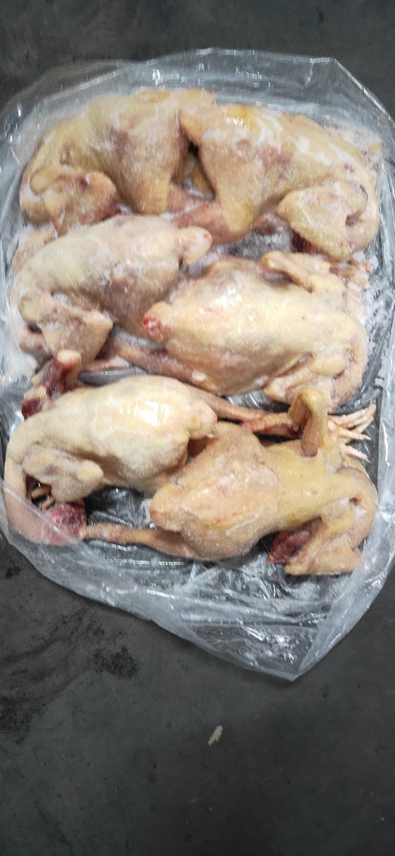 农家老母鸡(钦州九联食品)