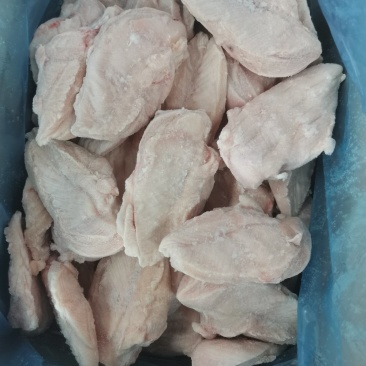 单冻大胸(钦州九联食品)