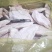 单冻大胸(钦州九联食品)