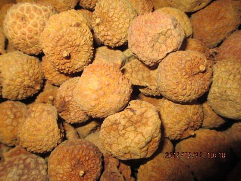福建漳州正宗厂家产地桂味荔枝干，乌叶，兰竹荔枝干