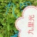 出售各种中药材，新鲜无杂质，如有需要的请来电预订！