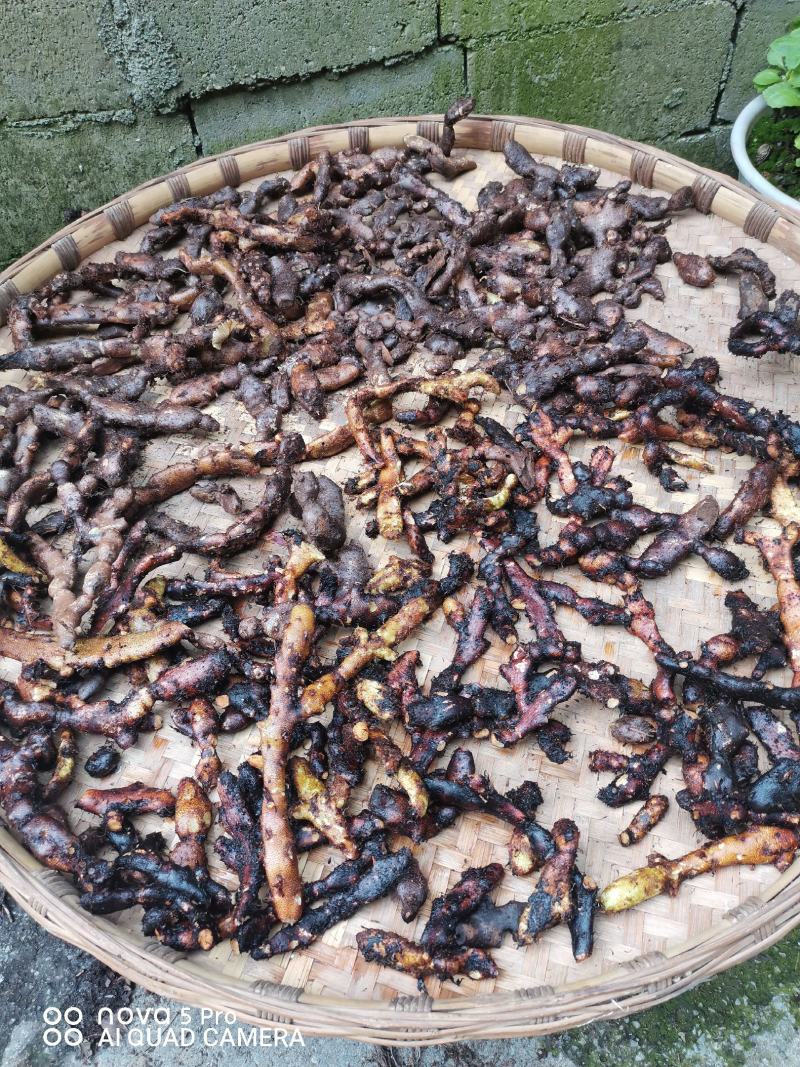 出售各种中药材，新鲜无杂质，如有需要的请来电预订！