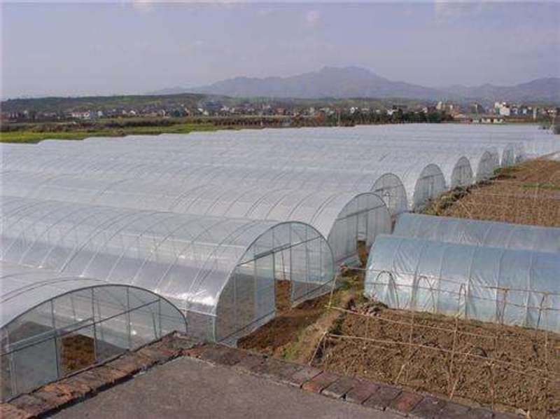 花卉大棚设计建设种植棚蔬菜棚养殖棚厂家直销