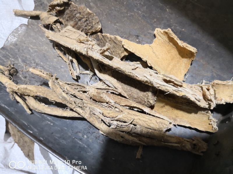 椿皮（身）（根）各种规格量大从优经营各种中药材