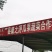 【一件代发】山东博洋61号甜瓜产地量大.实力对接电商平台