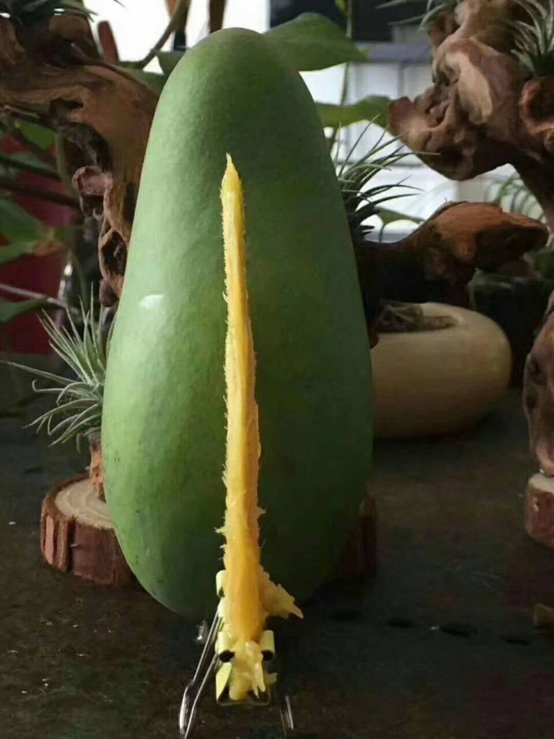 百色大青芒果，青皮大金煌，大芒果，品质保证，量大价格更优