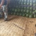 西瓜，甜王西瓜，甜露露精品瓜，十斤以上，熟瓜上车