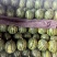 西瓜，甜王西瓜，甜露露精品瓜，十斤以上，熟瓜上车