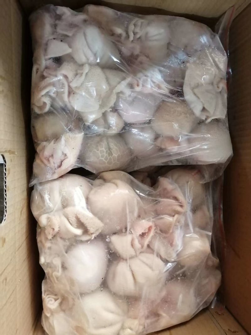 纯手工羊肚包脑羊肚包肉自己加工厂一手货源