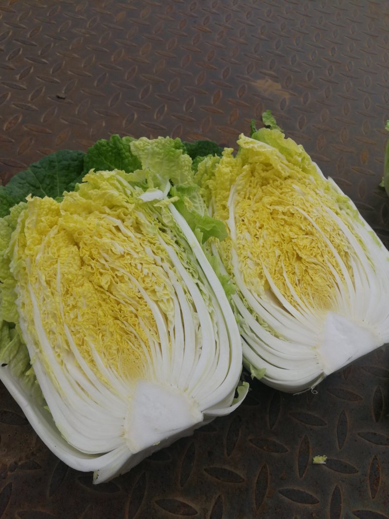 白菜