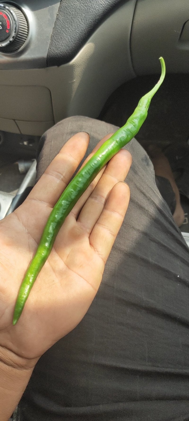 黄线，黑线，精品辣椒代办