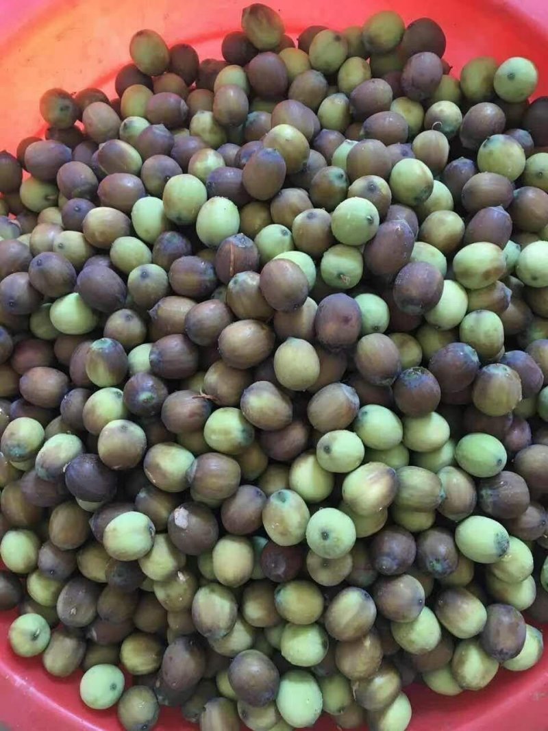 草莲
