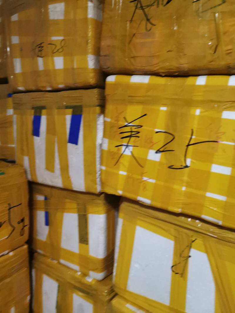 牛肝菌冻品美味牛肝白牛肝黄牛肝