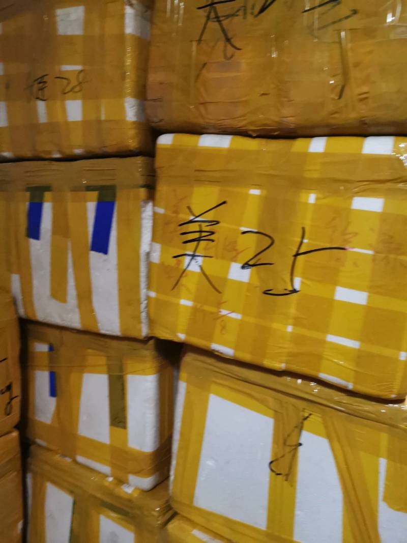 牛肝菌冻品美味牛肝白牛肝黄牛肝