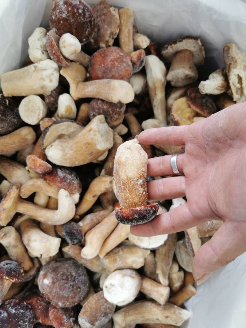 牛肝菌冻品美味牛肝白牛肝黄牛肝