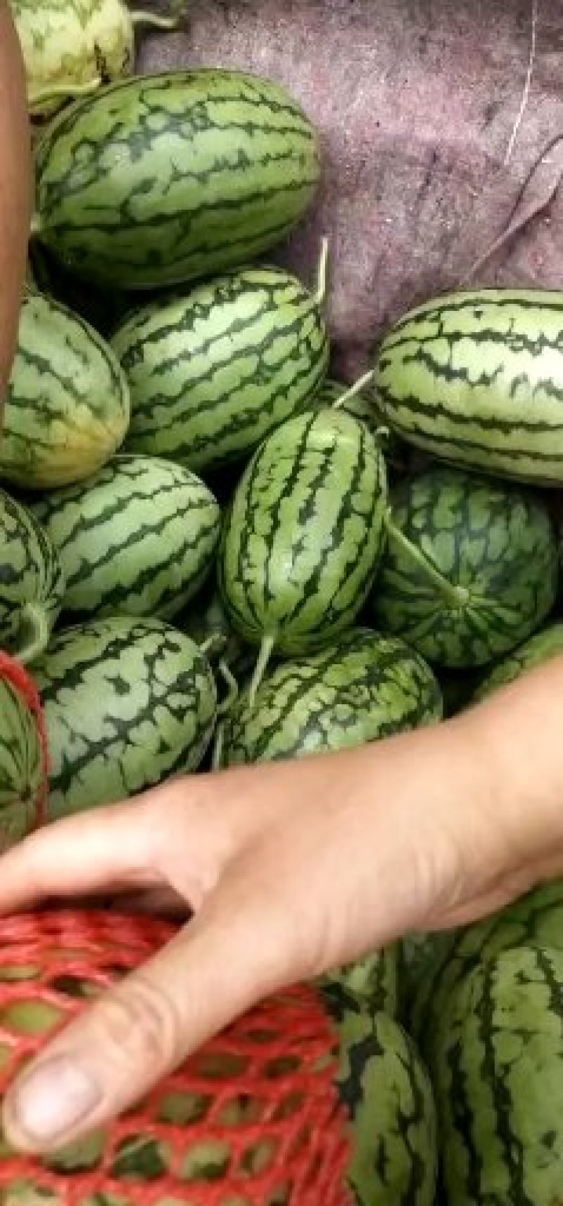 全美2k大量有货质量放心价格实报实销以质论价