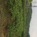 奉化水蜜桃湖景玉露上市