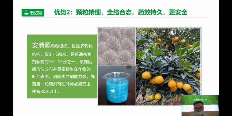 安道麦-安清源-硫酸铜钙77%柑橘柚子溃疡疮痂炭疽