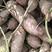 西瓜红，红薯上市中，种植面积大，品种多，需要的联系！