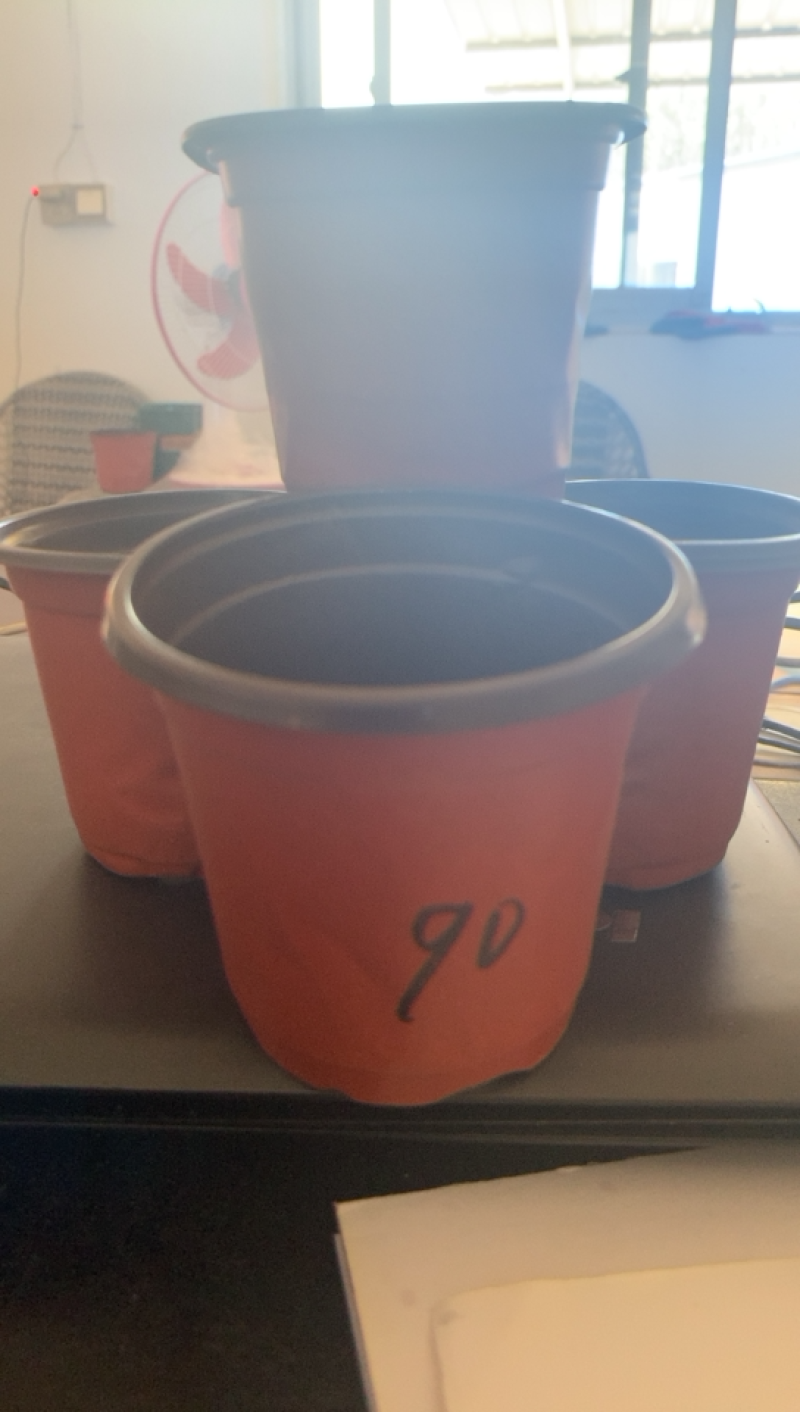双色花盆，红色软花盆90的100个育苗花盆，