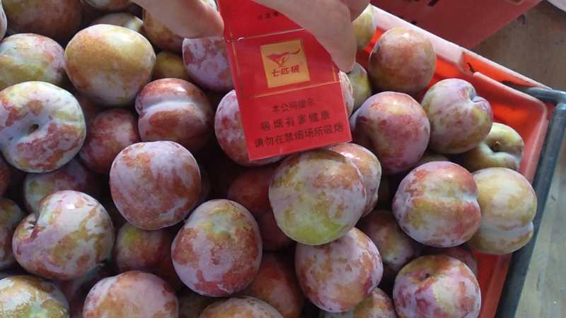 芙蓉李，产地直销，大量上市，一件代发，代办。