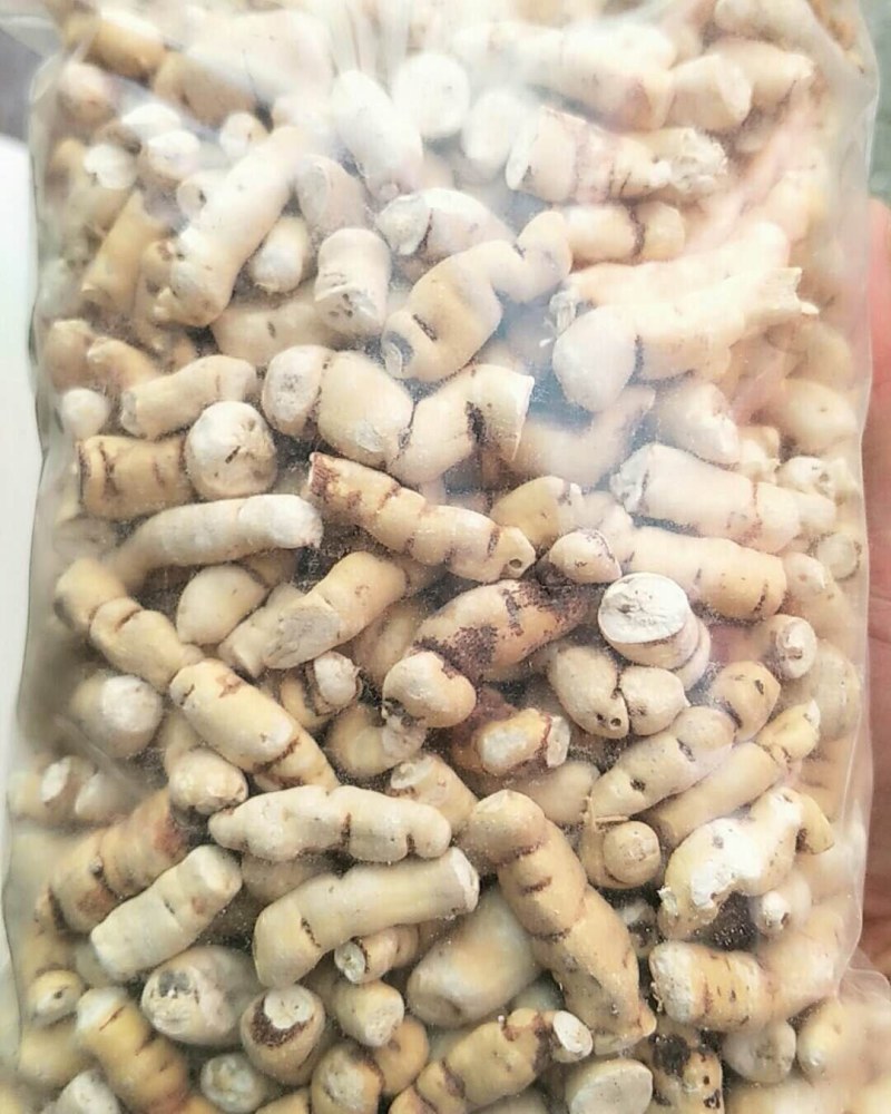 甘遂，常年批发供应冷背中药材