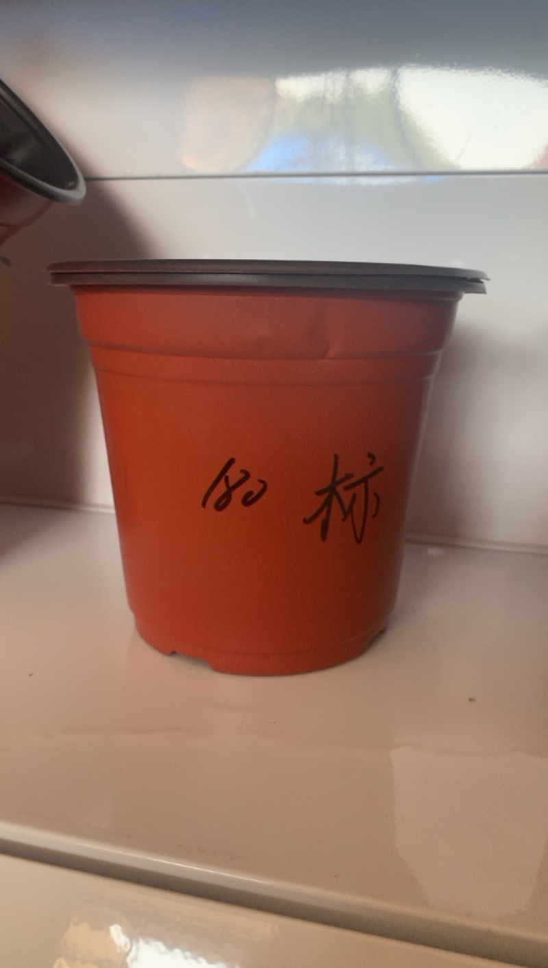 双色育苗花盆，红色软花盆，育苗盆，一次性花盆