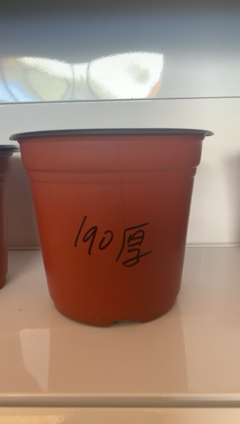 双色育苗花盆，红色软花盆，育苗盆，一次性花盆