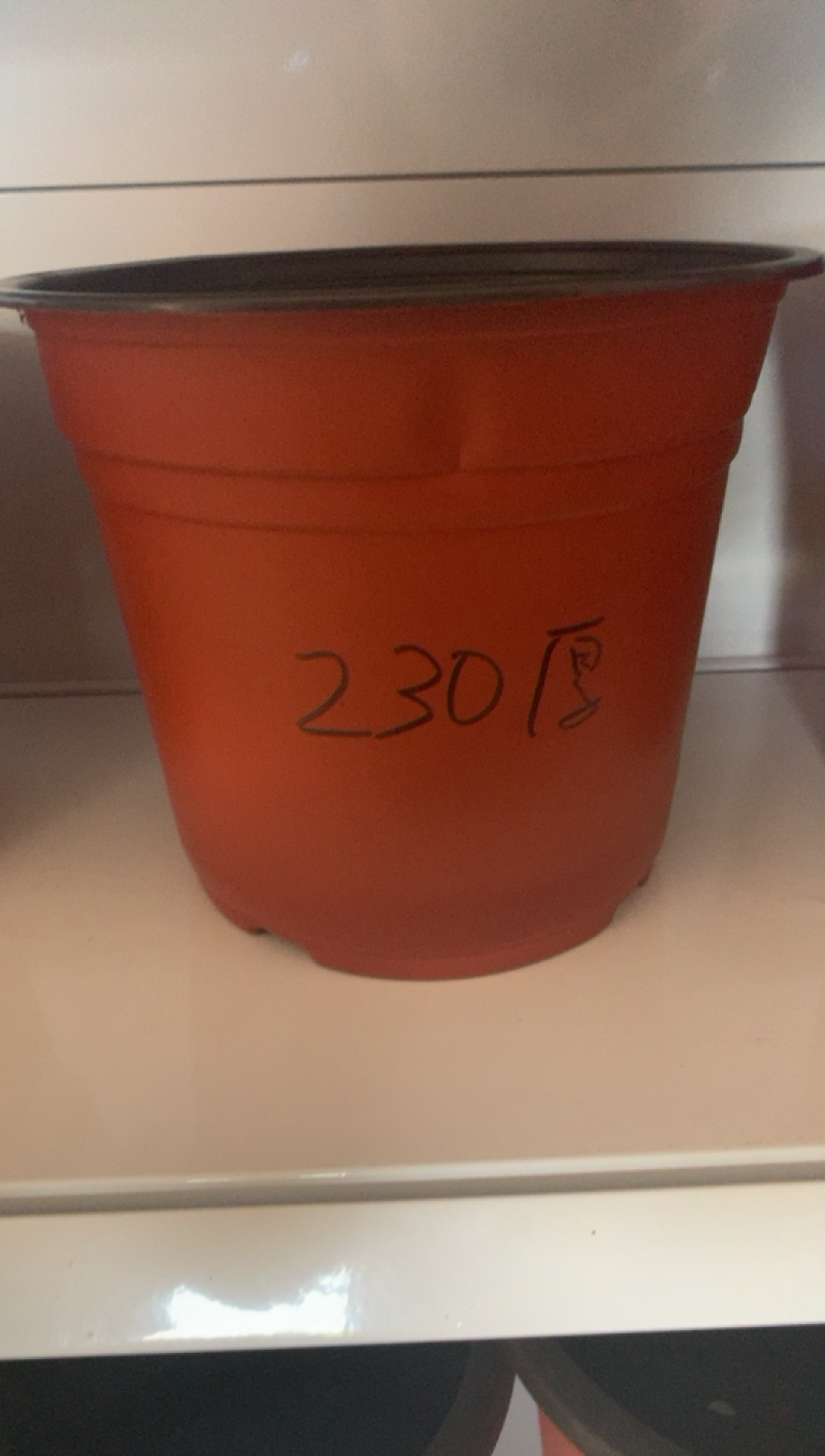 双色育苗花盆，红色软花盆，育苗盆，一次性花盆