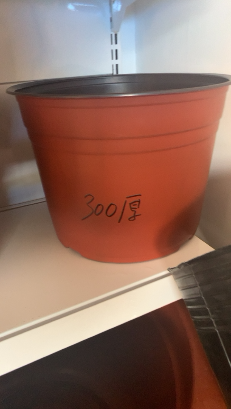 双色育苗花盆，红色软花盆，育苗盆，一次性花盆