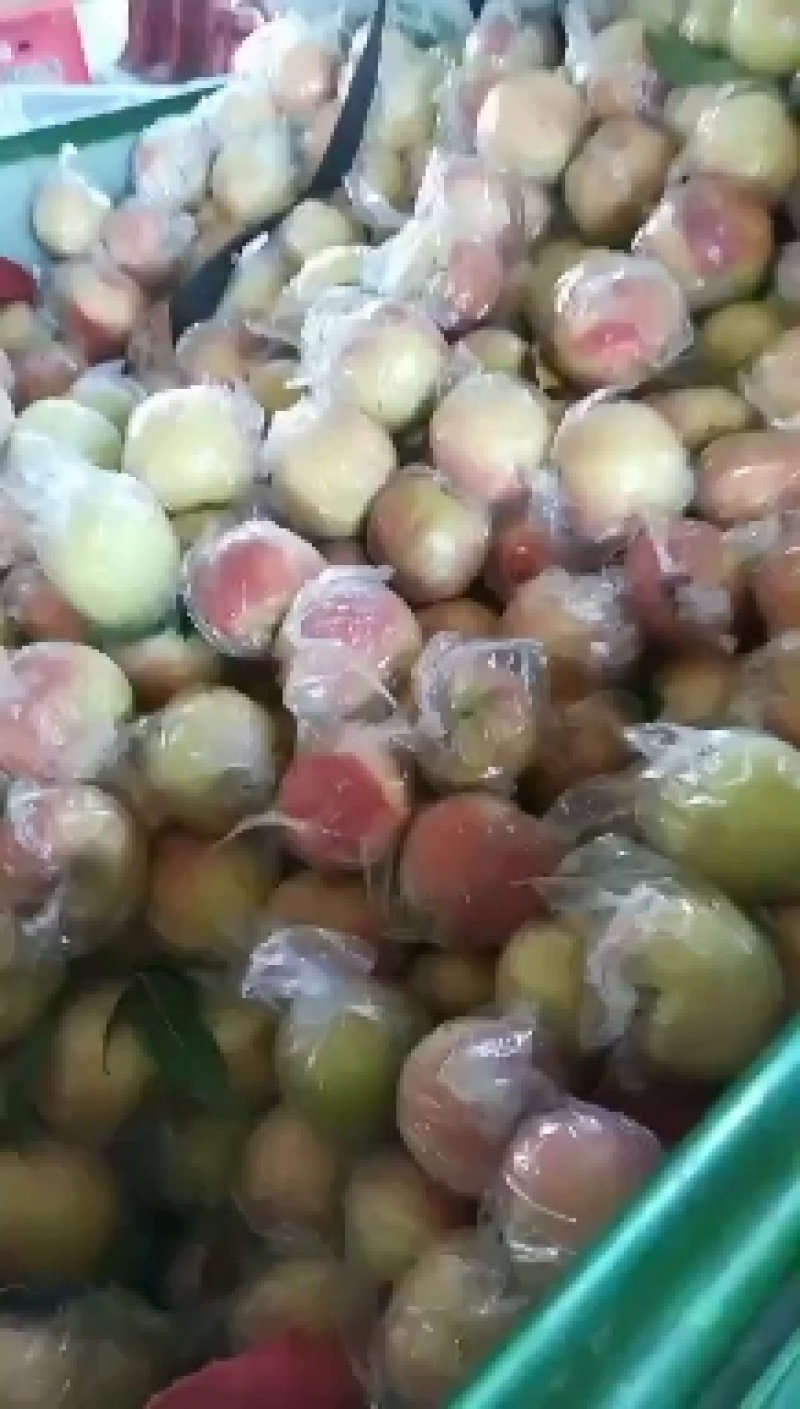 山西精品油名毛桃低价出售，欢迎来电咨询，长期合作