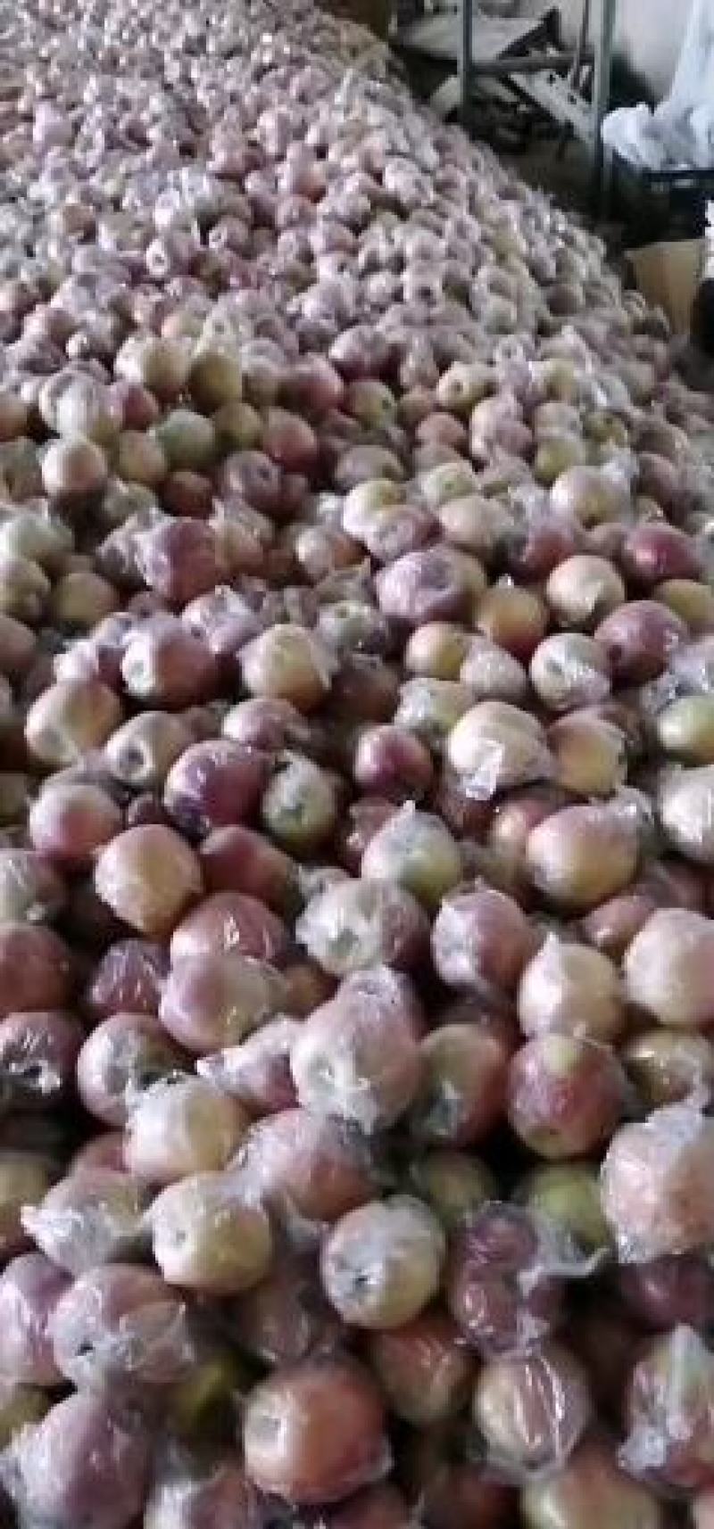 山西精品油名毛桃低价出售，欢迎来电咨询，长期合作