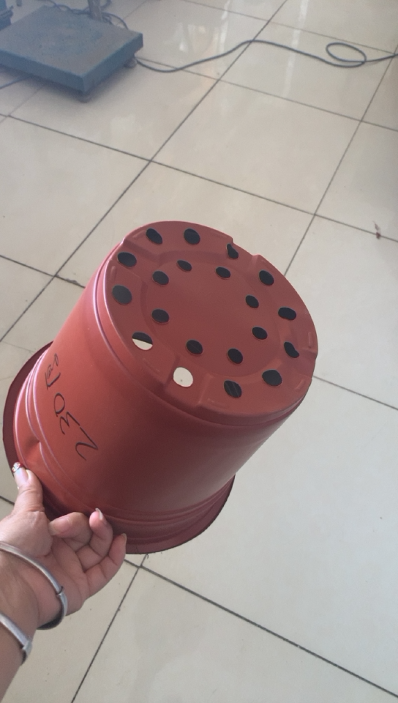 双色育苗花盆，红色软花盆，育苗盆，一次性花盆