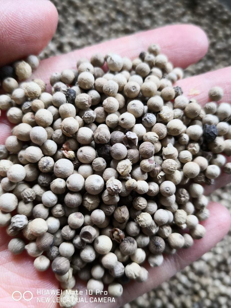 白胡椒国产各种规格干货2斤包邮量大从优