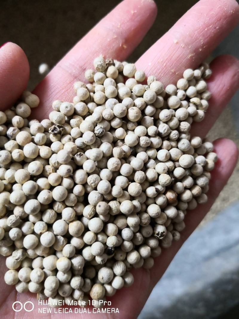 白胡椒国产各种规格干货2斤包邮量大从优