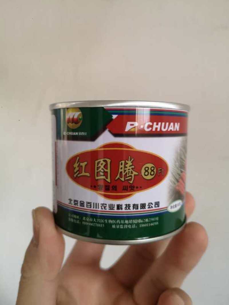 红图腾88迈巴顿红心胡萝卜种子籽杂交一代品种种子