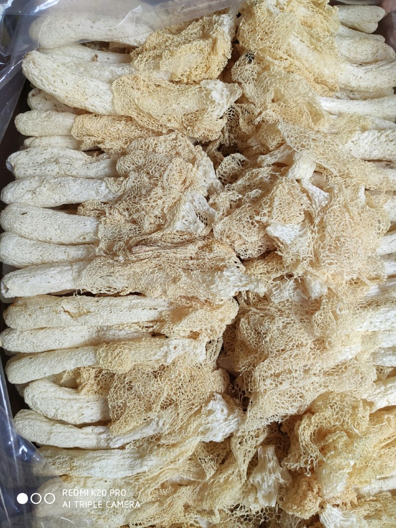 竹荪干货古田竹笙长裙竹荪菌农家干货特产新货食用菌