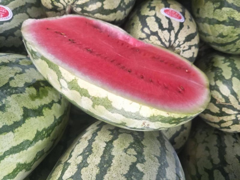 西瓜