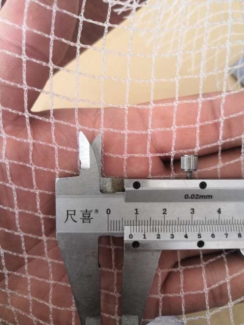 防鸟网户外果树防鸟用网葡萄谷子樱桃树尼龙网罩树鱼塘养殖网