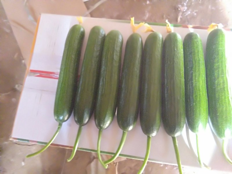 小黄瓜