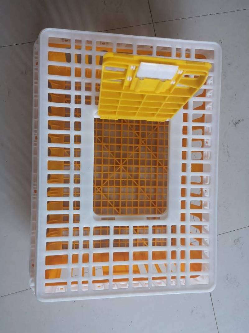鸡笼禽类运输笼周转筐加厚加固熟料厂家直销