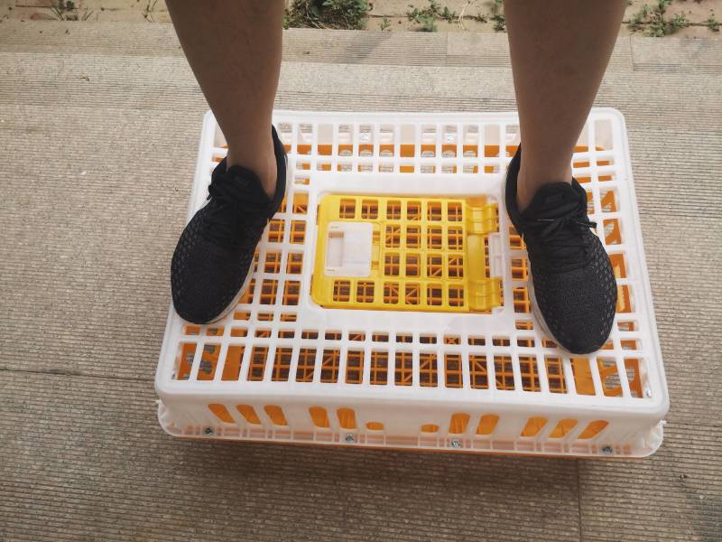 鸡笼禽类运输笼周转筐加厚加固熟料厂家直销