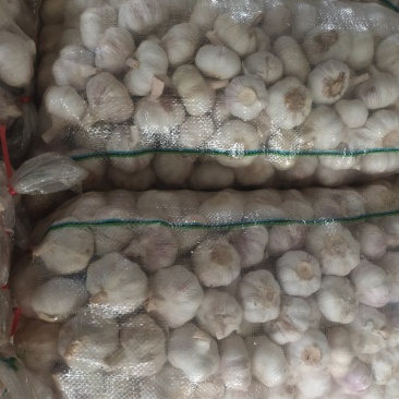 优质金乡杂交保鲜精品干大蒜，产地直供没有中间商