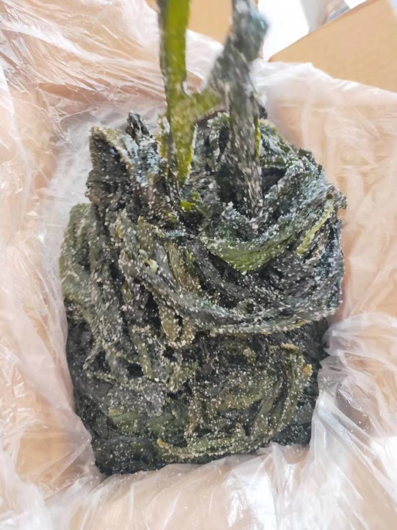 包邮盐渍裙带菜凉拌菜可泡发嫩海带叶裙带菜