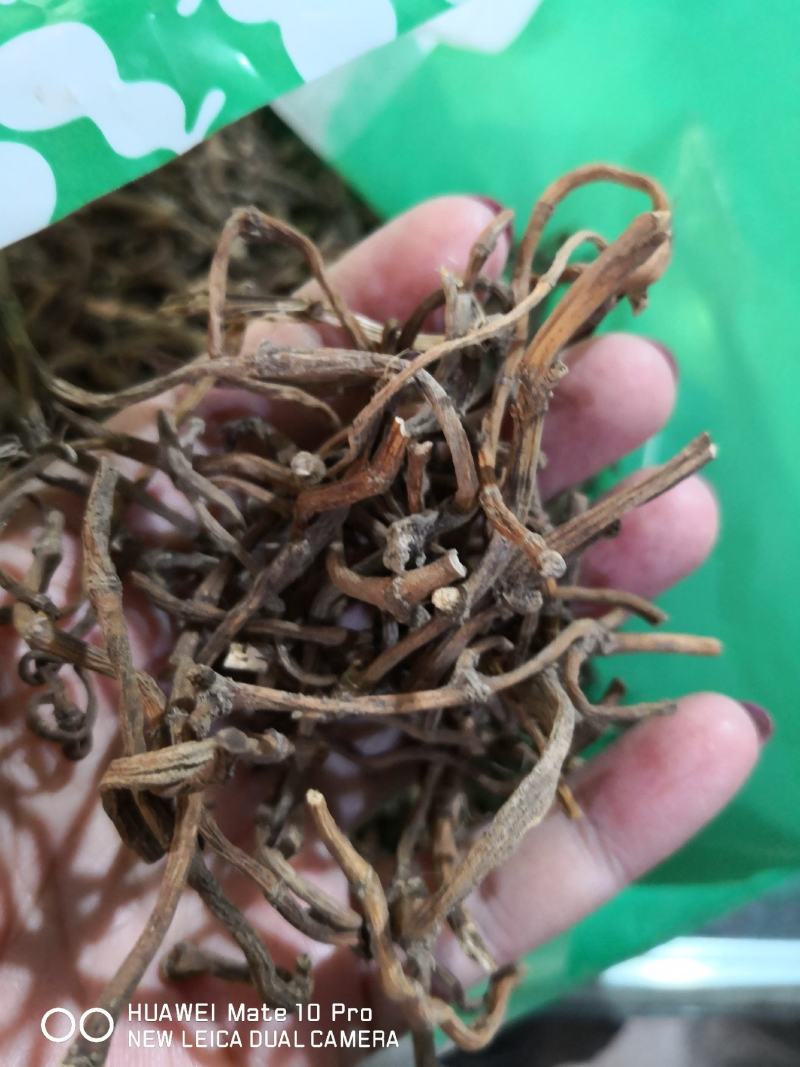鱼腥草根干货量大从优常年经营中药材