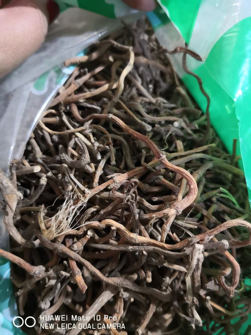 鱼腥草根干货量大从优常年经营中药材