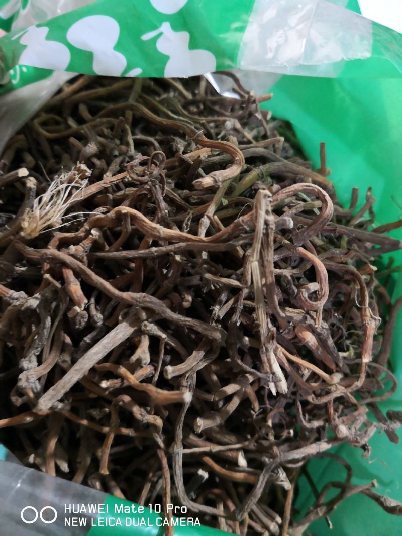 鱼腥草根干货量大从优常年经营中药材