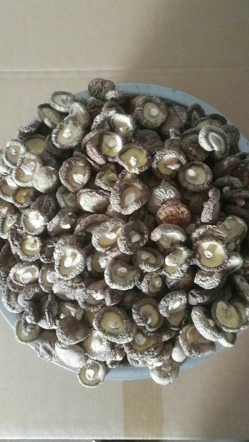 香菇批发，肉厚香菇冬菇精选香菇干货香菇肉厚短根