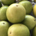 （一件代发）黄金果，纯甜，芭乐味，大量新鲜现货供应
